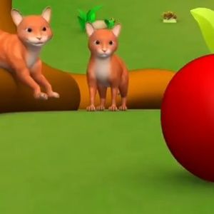 Meet your Posher, Prativa